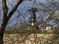 2012-0411-1545_Elmers_Mill_Ockley_13C